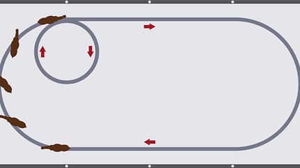 Nimm die Beine in die Hand - Das Oval mit Drehachse für eine reelle Anlehnung