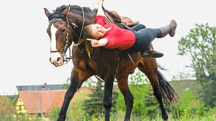 CAVALLO Super Hero Super Hero