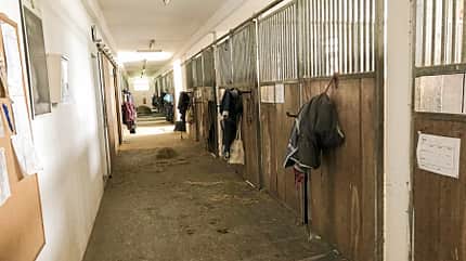 CAVALLO Reitschultest Traunstein Reitschultest Traunstein