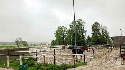 CAVALLO Reitschultest Traunstein Reitschultest Traunstein
