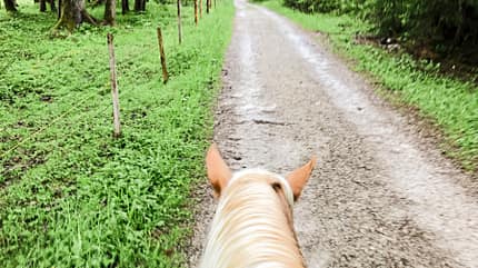 CAVALLO Reitschultest Traunstein Reitschultest Traunstein