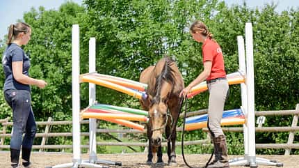 CAVALLO Spielt mein Pferd gerne? CAVALLO Spielt mein Pferd gerne?