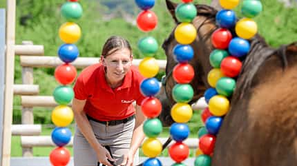 CAVALLO Spielt mein Pferd gerne? CAVALLO Spielt mein Pferd gerne?