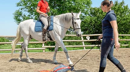 CAVALLO Spielt mein Pferd gerne? CAVALLO Spielt mein Pferd gerne?