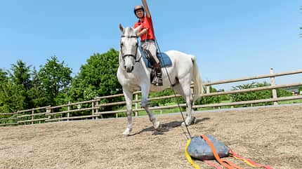 CAVALLO Spielt mein Pferd gerne? CAVALLO Spielt mein Pferd gerne?