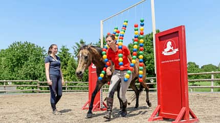 CAVALO Spielt mein Pferd gerne? Spielt mein Pferd gerne?