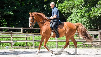 CAVALLO Leckerli & Levaden - alte Reitkunst am Egon von Neindorff-Institut Leckerli & Levaden - alte Reitkunst am Egon von Neindorff-Institut