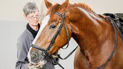 CAVALLO Leckerli & Levaden - alte Reitkunst am Egon von Neindorff-Institut Leckerli & Levaden - alte Reitkunst am Egon von Neindorff-Institut