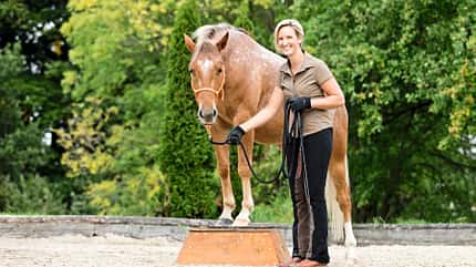 CAVALLO Ganzkörper-Workout, Fit mit Katrin Obst Ganzkörper-Workout, Fit mit Katrin Obst