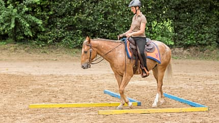 CAVALLO Ganzkörper-Workout, Fit mit Katrin Obst Ganzkörper-Workout, Fit mit Katrin Obst