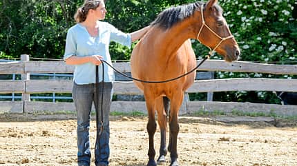 CAVALLO Titel Thema Unwiderstehlich - Anziehende Übungen Titel Thema Unwiderstehlich - Anziehende Übungen