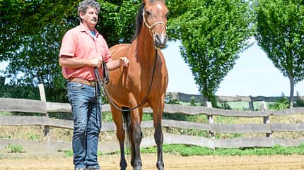 CAVALLO Titel Thema Unwiderstehlich - Anziehende Übungen Titel Thema Unwiderstehlich - Anziehende Übungen