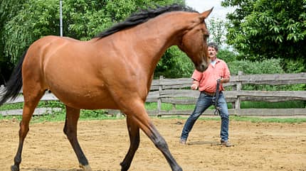 CAVALLO Titel Thema Unwiderstehlich - Anziehende Übungen Titel Thema Unwiderstehlich - Anziehende Übungen