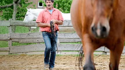 CAVALLO Titel Thema Unwiderstehlich - Anziehende Übungen Titel Thema Unwiderstehlich - Anziehende Übungen