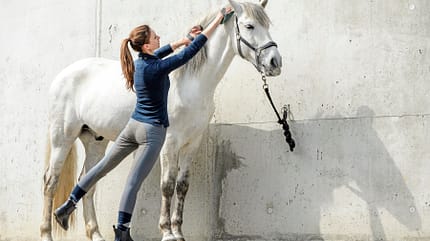 CAVALLO Warm up & cool down Warm up & cool down