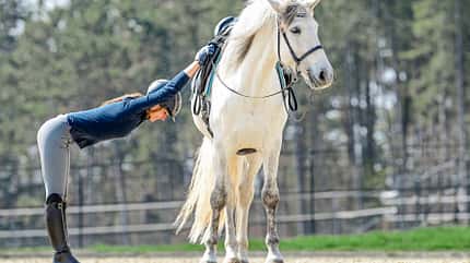 CAVALLO Warm up & cool down Warm up & cool down