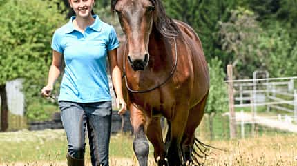 CAVALLO Ende gut, alles gut Ende gut, alles gut