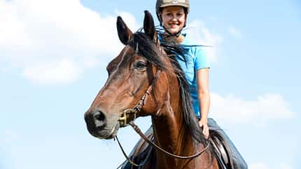 CAVALLO Ende gut, alles gut Ende gut, alles gut
