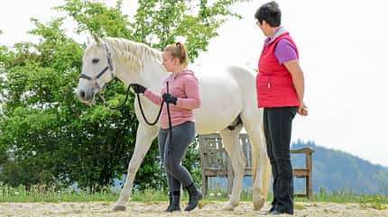 CAVALLO Reiten lernen - mein erstes Mal Reiten lernen - mein erstes Mal