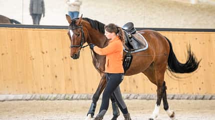 CAVALLO Coach „Meine Stute ist beim Reiten auf der Flucht“ „Meine Stute ist beim Reiten auf der Flucht“