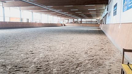 CAVALLO Reitschultest Lübeck Reitschultest Lübeck