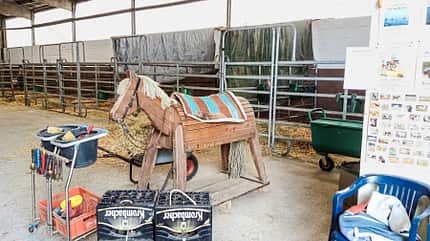 CAVALLO Reitschultest Lübeck Reitschultest Lübeck