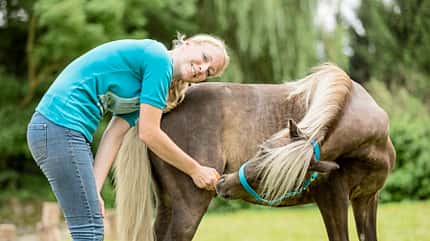 CAVALLO Fit mit Obst - Pilates Fit mit Obst - Pilates