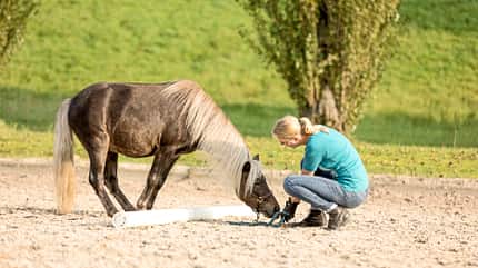 CAVALLO Fit mit Obst - Pilates Fit mit Obst - Pilates