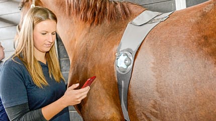 CAVALLO Der digitale Blick ins Pferd mit dem Piavet-System Der digitale Blick ins Pferd mit dem Piavet-System