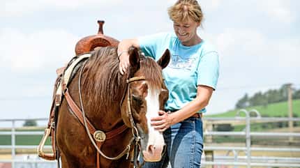 CAVALLO Ute Holm - Die Cutting-Queen Ute Holm - Die Cutting-Queen