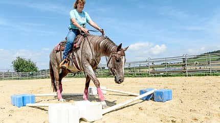 CAVALLO Ute Holm - Die Cutting-Queen Ute Holm - Die Cutting-Queen