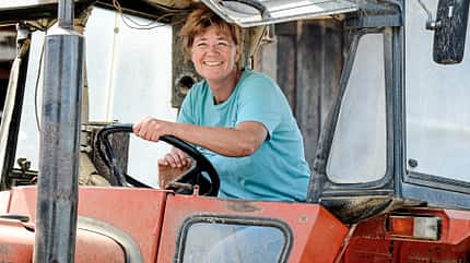 CAVALLO Ute Holm - Die Cutting-Queen Ute Holm - Die Cutting-Queen
