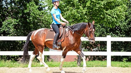 CAVALLO Der bewegte Reiter mit Neurobalance Der bewegte Reiter mit Neurobalance