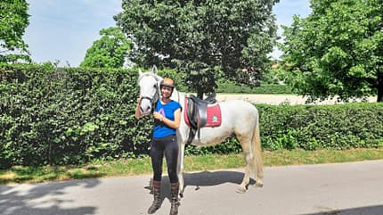 CAVALLO Gestüt Lipica Gestüt Lipica
