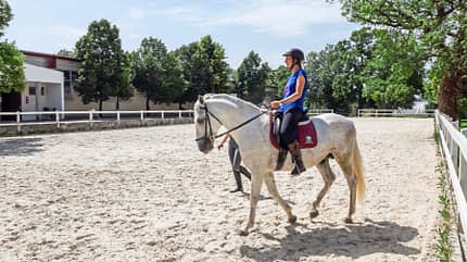 CAVALLO Gestüt Lipica Gestüt Lipica