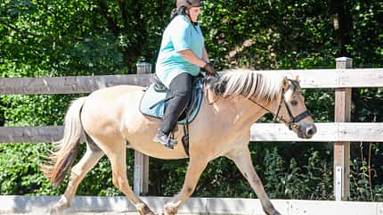 CAVALLO CAVALLO-Coach „Mein Pferd fällt im Galopp immer aus“ CAVALLO-Coach „Mein Pferd fällt im Galopp immer aus“