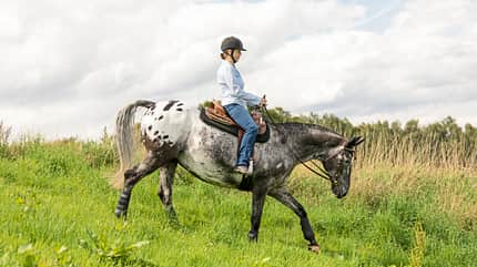 CAVALLO Fit mit Obst CAVALLO Fit mit Obst