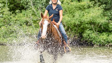 CAVALLO Fit mit Obst CAVALLO Fit mit Obst