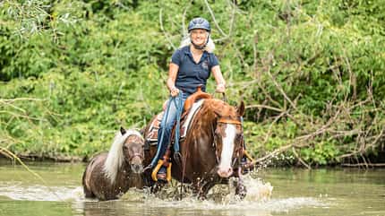 CAVALLO Fit mit Obst CAVALLO Fit mit Obst