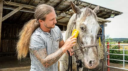 CAVALLO Ergänzungsfuttermittel eQ7 Ergänzungsfuttermittel eQ7