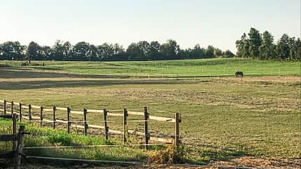 CAVALLO Reitschultest Schwäbische Alb Reitschultest Schwäbische Alb