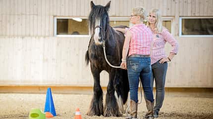 CAVALLO Angst einfach ausradieren Angst einfach ausradieren