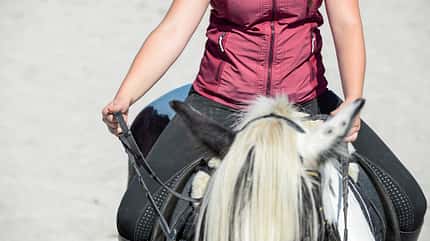CAVALLO Titelthema volle Konzentration Titelthema volle Konzentration
