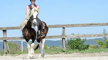 CAVALLO Titelthema volle Konzentration Titelthema volle Konzentration