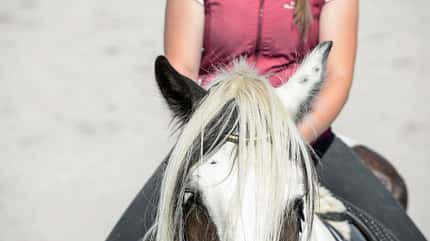 CAVALLO Titelthema volle Konzentration Titelthema volle Konzentration