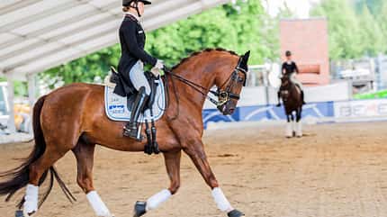CAVALLO Abreiteplatz beim „Turnier der Sieger“ in Münster Abreiteplatz beim „Turnier der Sieger“ in Münster