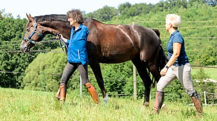 CAVALLO hautnah CAVALLO hautnah