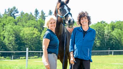 CAVALLO hautnah CAVALLO hautnah