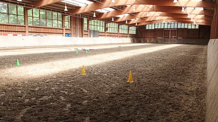 CAVALLO Reitschultest Leipzig Reitschultest Leipzig