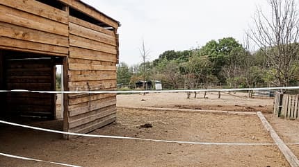 CAVALLO Reitschultest Leipzig Reitschultest Leipzig